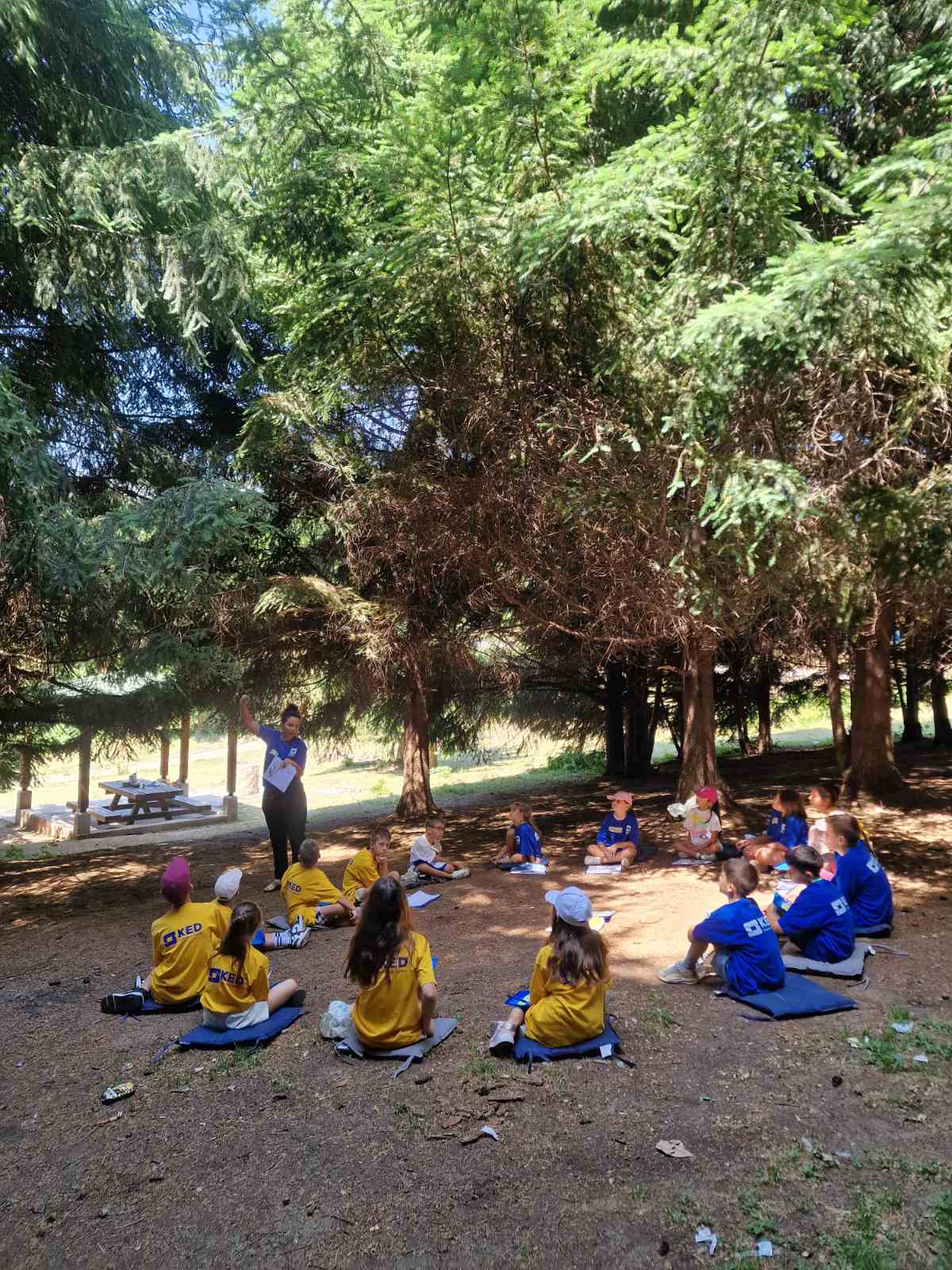 Summer School